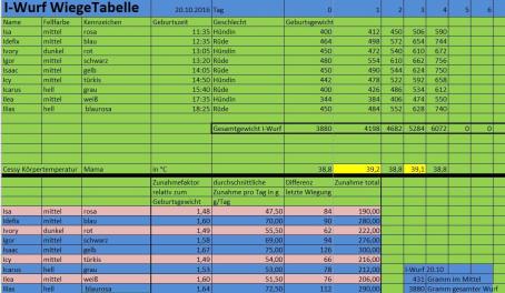 Im Schnitt haben alle innerhalb vier Tagen schon mehr als die Hälfte des ursprünglichen Gewicht´s zugelegt!