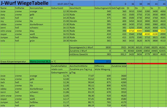 Unsere J´s sind 6 1/2 Wochen alt