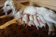 J-Wurf am 11.07.2017