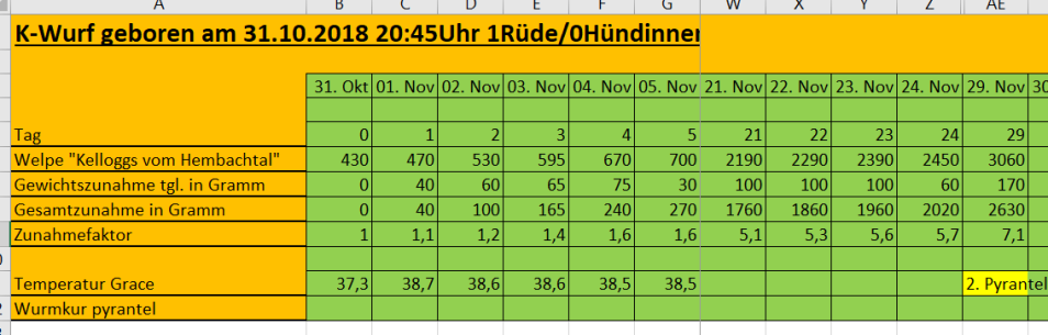 Kelloggs entwickelt sich prächtig!